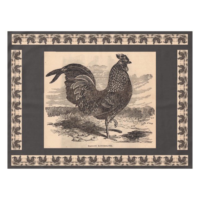 Nappe Galus Sonneratii du 19e siècle (Devant (Horizontal))