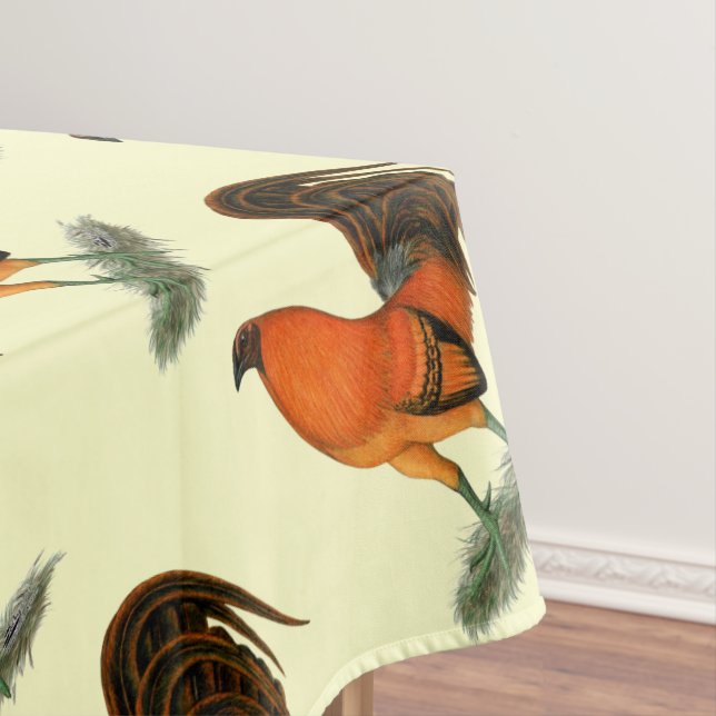 Nappe Gamecock Ginger (In Situ)