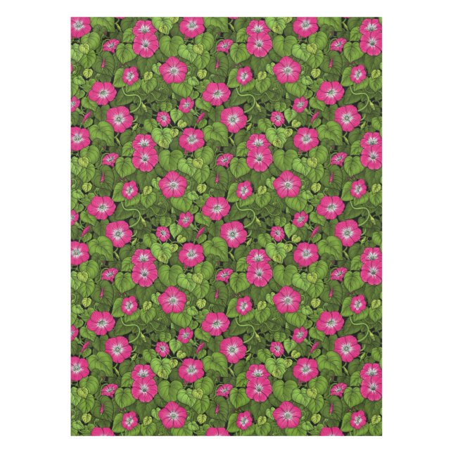 Nappe Gloire du matin en rose et vert (Devant)