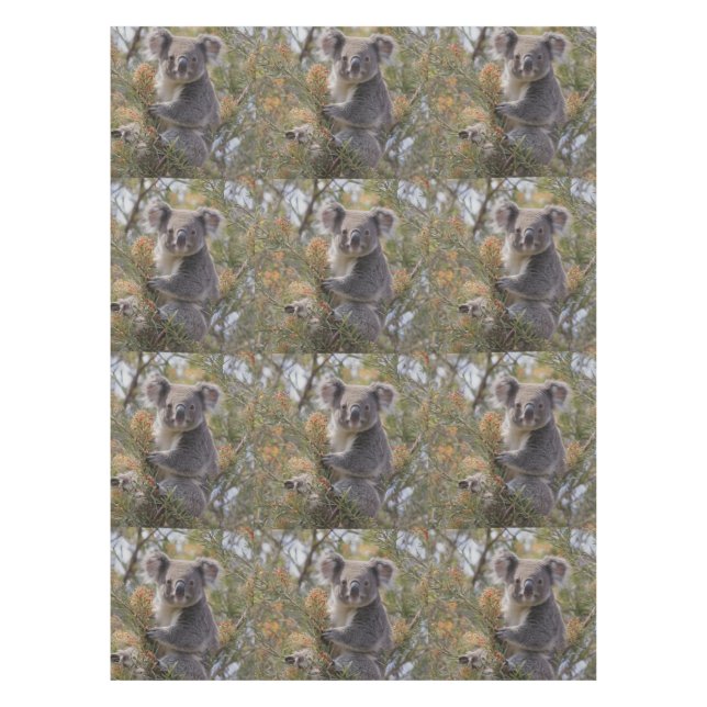 Nappe Grevillea Koala Bear, (Devant)