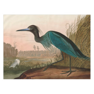 Nappe Grue bleue ou Heron Birds of America Audubon Impri