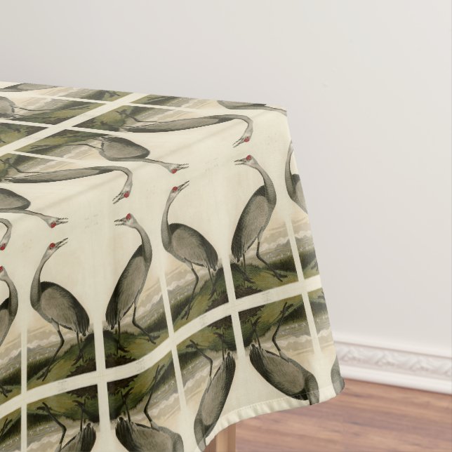 Nappe Grue de Sandhill d'Audubon's Birds of America (In Situ)
