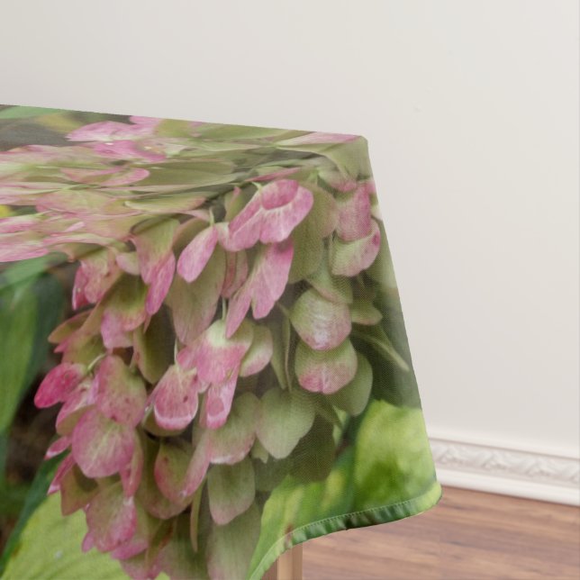 Nappe Hydrangea d'automne en fleurs avec feuilles d'host (In Situ)