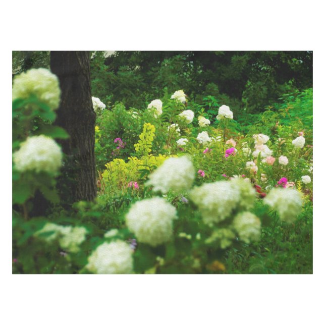 Nappe Hydrangeas Limelight dans mon jardin Rubio (Devant (Horizontal))
