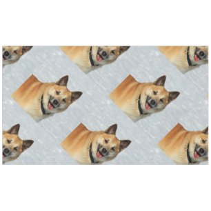 Nappe IcelandicSheepdog20150904