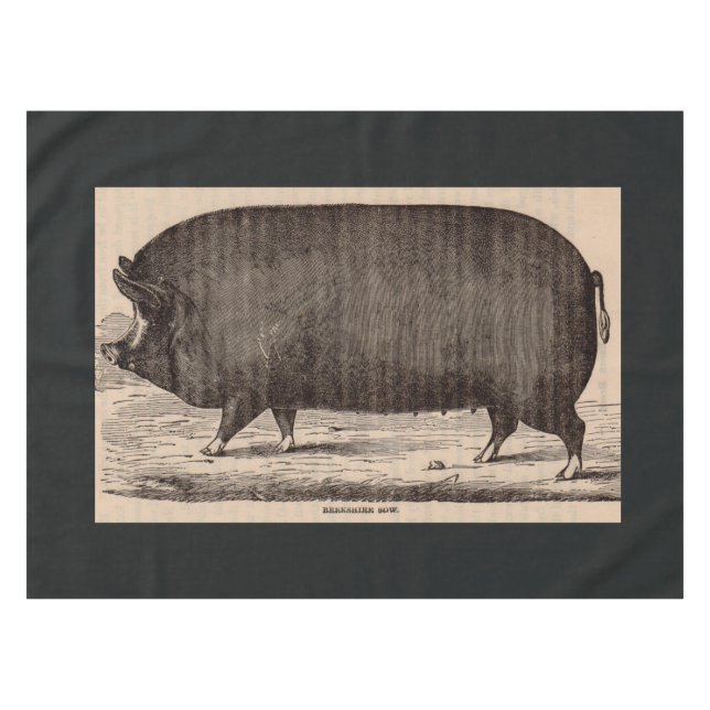 Nappe Impression de porc du 19e siècle Berkshire semé no (Devant (Horizontal))