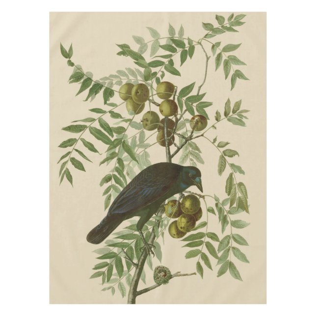 Nappe Impression d'oiseau Grackle violet d'Audubon Botan (Devant)