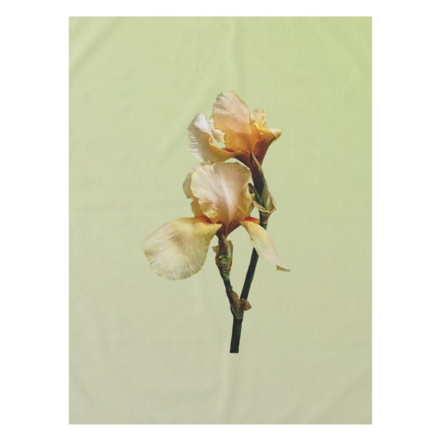 Nappe Irises colorées (Devant)