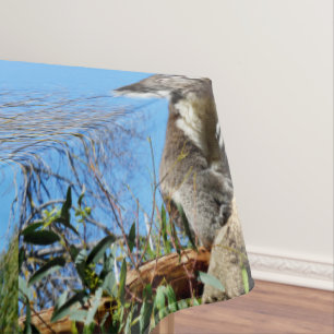 Nappe Koala A Le Temps De Réfléchir À La Vie,