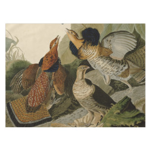 Nappe La peinture d'Audubon d'un trio de grouse de