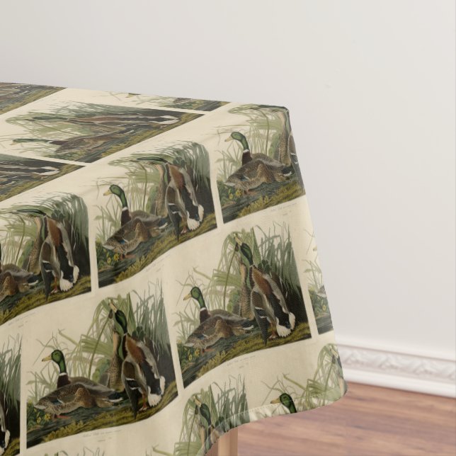 Nappe Le canard colvert des oiseaux d'Amérique d'Audubon (In Situ)