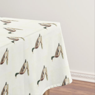 Nappe Le canard colvert ou sauvage (Anas platyrhynchos)