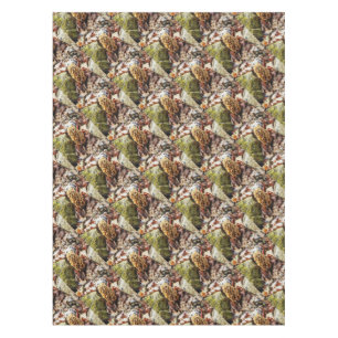 Nappe Le champignon Morel dans la nature
