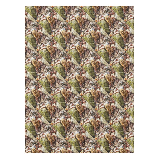 Nappe Le champignon Morel dans la nature (Devant)