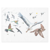 Les oiseaux migrateurs suivent leurs vols