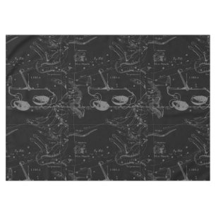 Nappe Libra Constellation Map Hevelius 1690 sept oct.