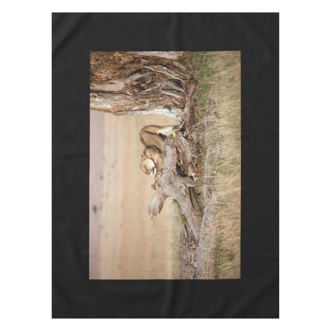 Nappe Lioness stretching (Devant)