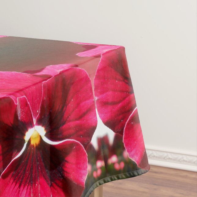 Nappe Lucrezia (In Situ)