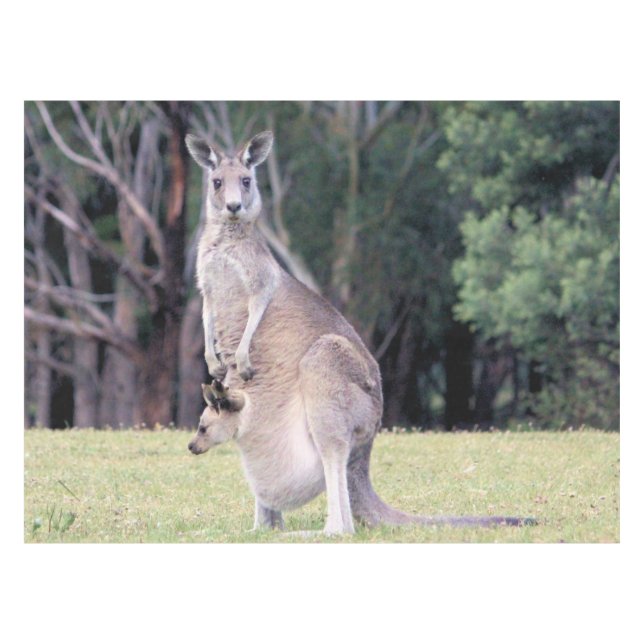 Nappe Mère Kangaroo avec bébé Joey dans sa poche (Devant (Horizontal))