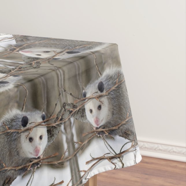 Nappe Opossum Nature (In Situ)