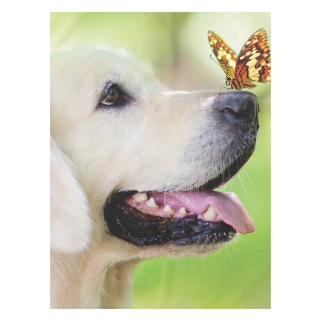 Nappe Oreiller À Lancer Du Labrador Et Du Papillon (Devant)