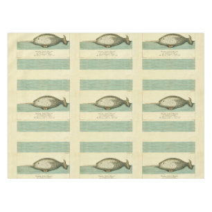 Nappe Peinture à l'aquarelle de baleine ancienne Narwhal