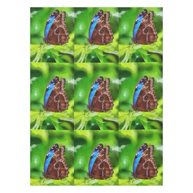 Nappe Peinture à papillon (Devant)