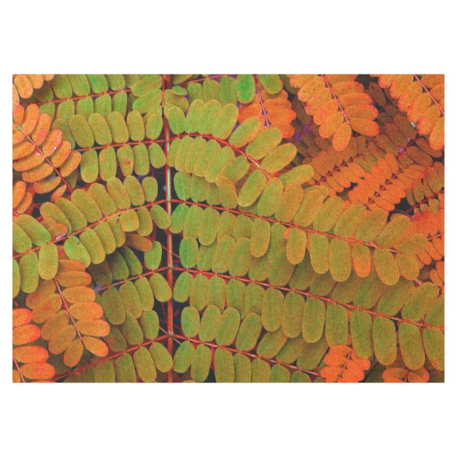 Nappe Petit Motif Feuille (Devant (Horizontal))