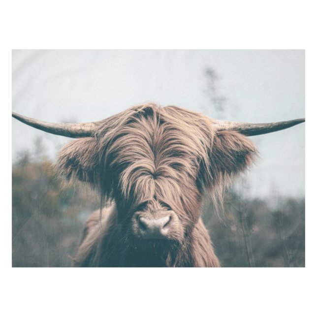 Nappe Portrait de vache Highland (Devant (Horizontal))