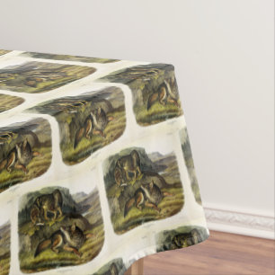 Nappe Prairie Wolf