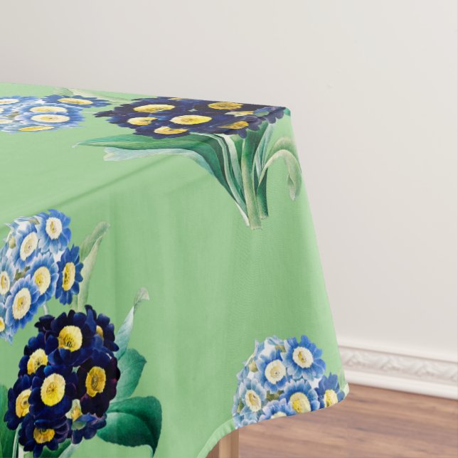 Nappe Primevère Coucou Botanique (In Situ)