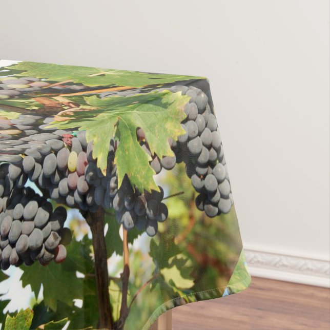 Nappe Raisins de cuve sur la vigne (In Situ)