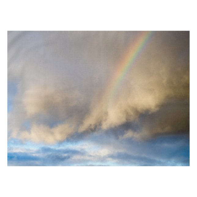 Nappe rébellion arc-en-ciel (Devant (Horizontal))