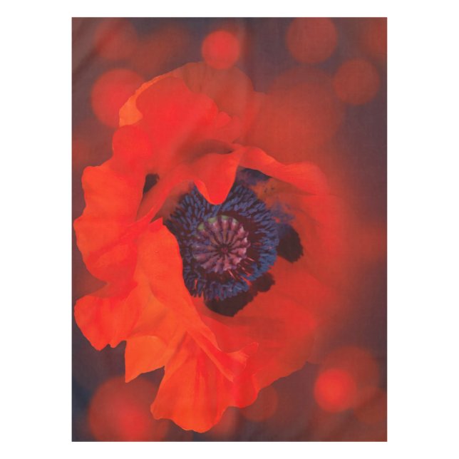 Nappe Red Poppy Dark Arrière - plan & Bokeh Effet (Devant)