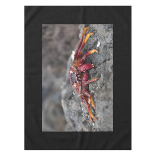 Nappe Red rock crab