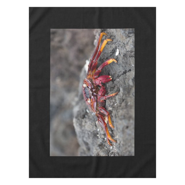 Nappe Red rock crab (Devant)