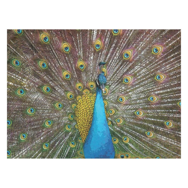 Nappe Regal Peacock avec Turquoise Blue et Gold Plumage (Devant (Horizontal))