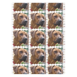 Nappe rhodesian-ridgeback-5