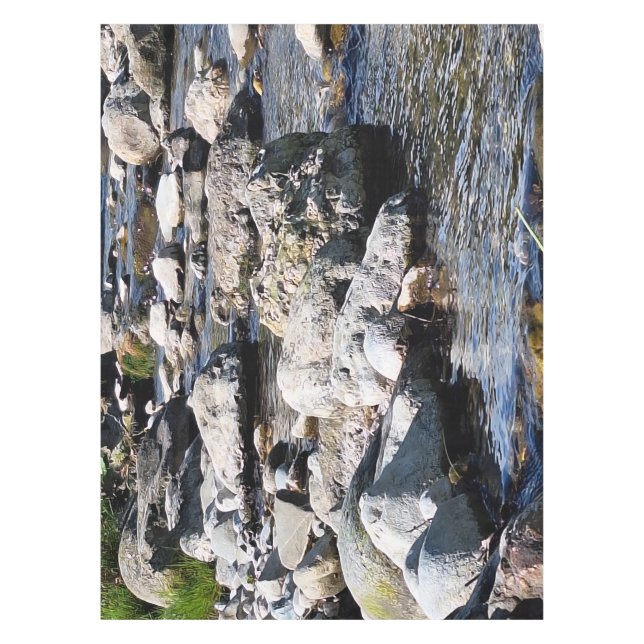 Nappe Rivière des Monts Carpates – Impression de Nature  (Devant)