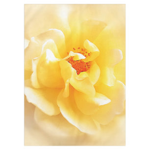 Nappe Rose jaune blanc Couleurs douces