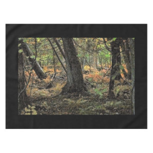 Nappe Scène de forêt automnale              