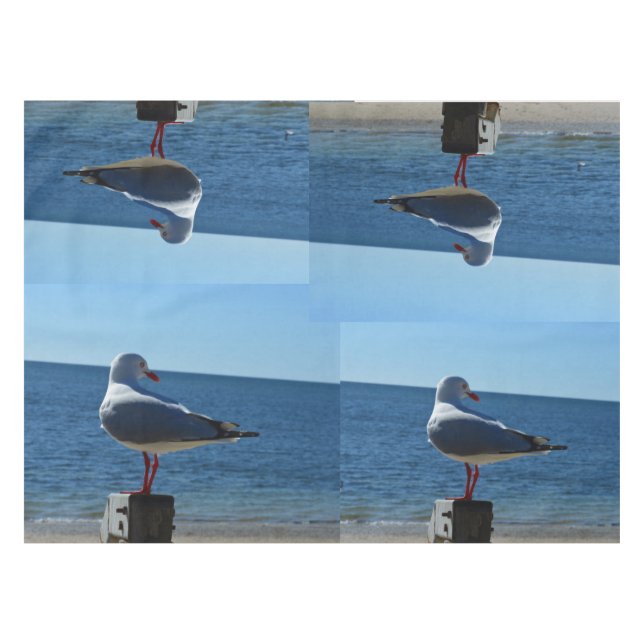 Nappe Seagull Beach Joli Tissu De Table. (Devant (Horizontal))