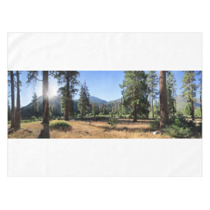 Nappe Simpson Meadow - Sierra