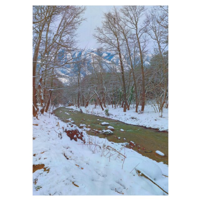 Nappe Snowy Trees Creek Forest Mountain (Devant)