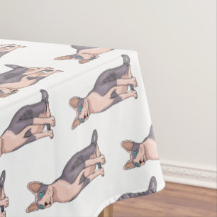 Nappe Sphynx cat