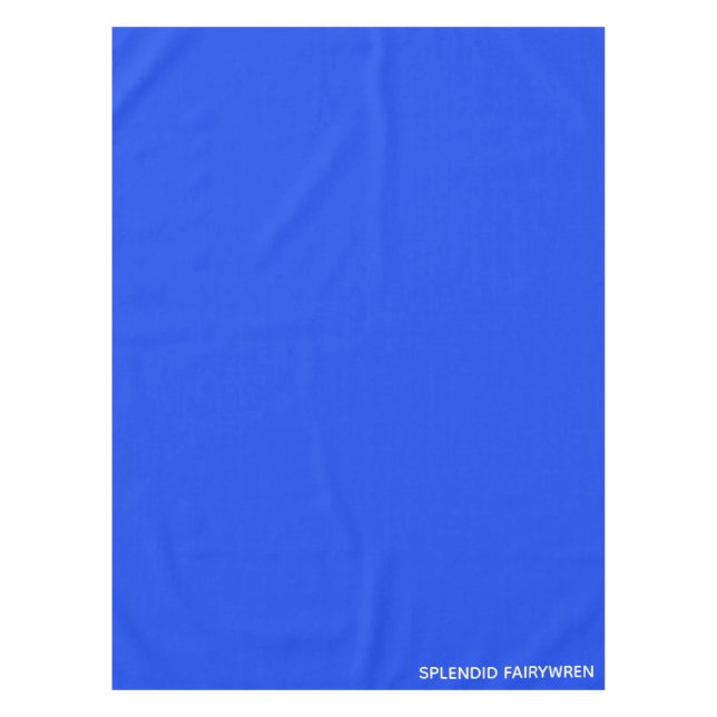 Nappe Splendid Fairywren Blue Colour (Devant)
