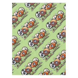 Nappe Sports