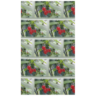 Nappe Taches rouges d'automne