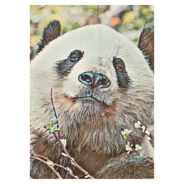 Nappe toony panda (Devant)