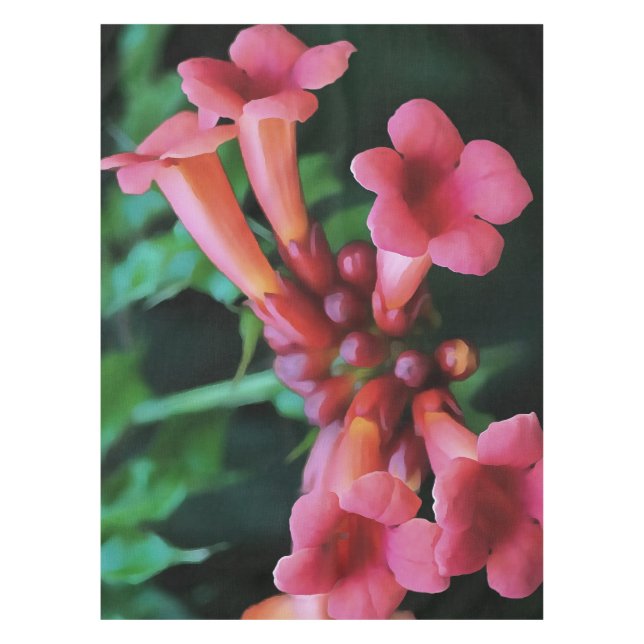 Nappe Trompette rose Honeysuckie Art botanique (Devant)